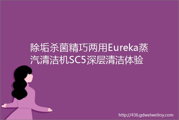 除垢杀菌精巧两用Eureka蒸汽清洁机SC5深层清洁体验